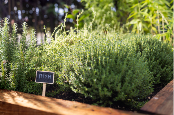La Galerie - Bistronomique Beach - Restaurant Cagnes